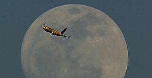Airlines shouldn’t be ‘brothels in the sky’